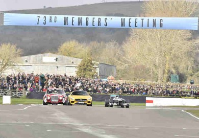 mercedes f1 car in Goodwood (1)